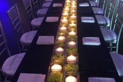Estate-table-glass-cube-wheatgrass-candle-runner