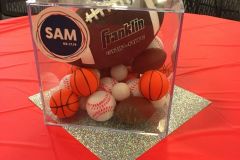 Sports-themed-centerpiece-sport-balls-display-case