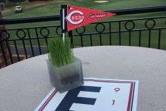 Sports-themed-centerpiece-wheatgrass-glass-cube-custom-print