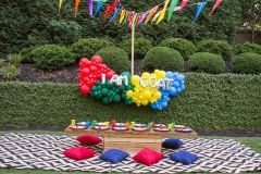 Birthday-party-color-blocked-organic-garland