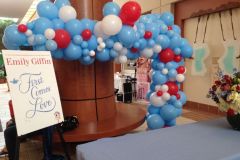 Book-signing-author-backdrop-organic-balloon-garland-Emily-Giffin